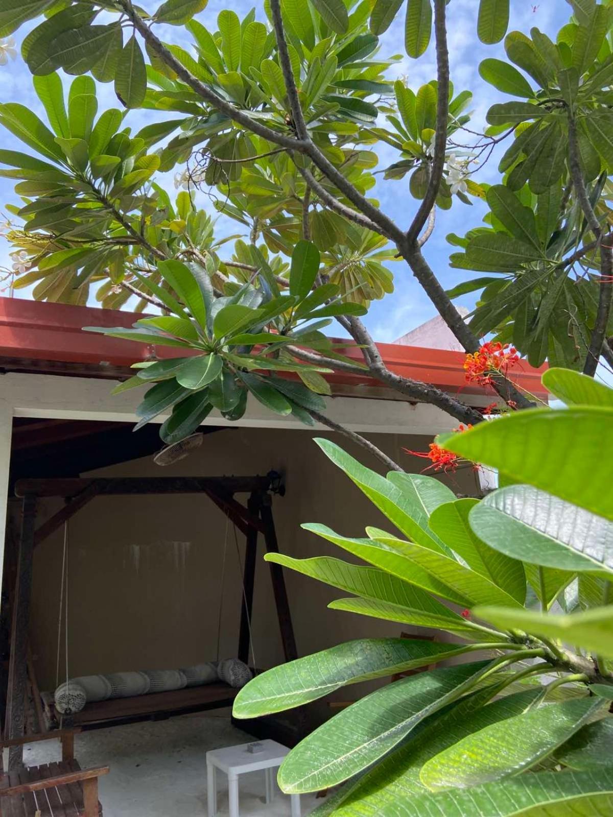 Cerulean View Residence Hanimaadhoo Island Екстериор снимка