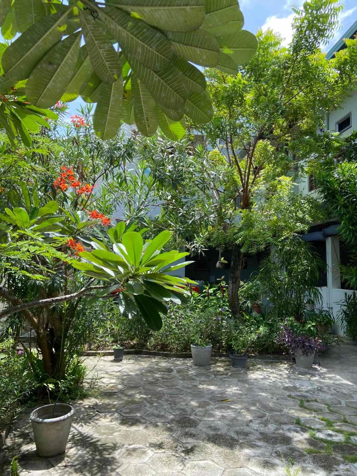 Cerulean View Residence Hanimaadhoo Island Екстериор снимка