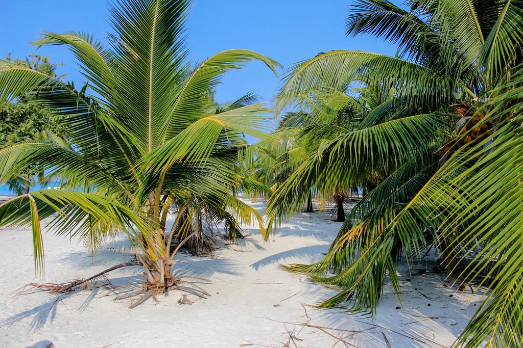 Cerulean View Residence Hanimaadhoo Island Екстериор снимка