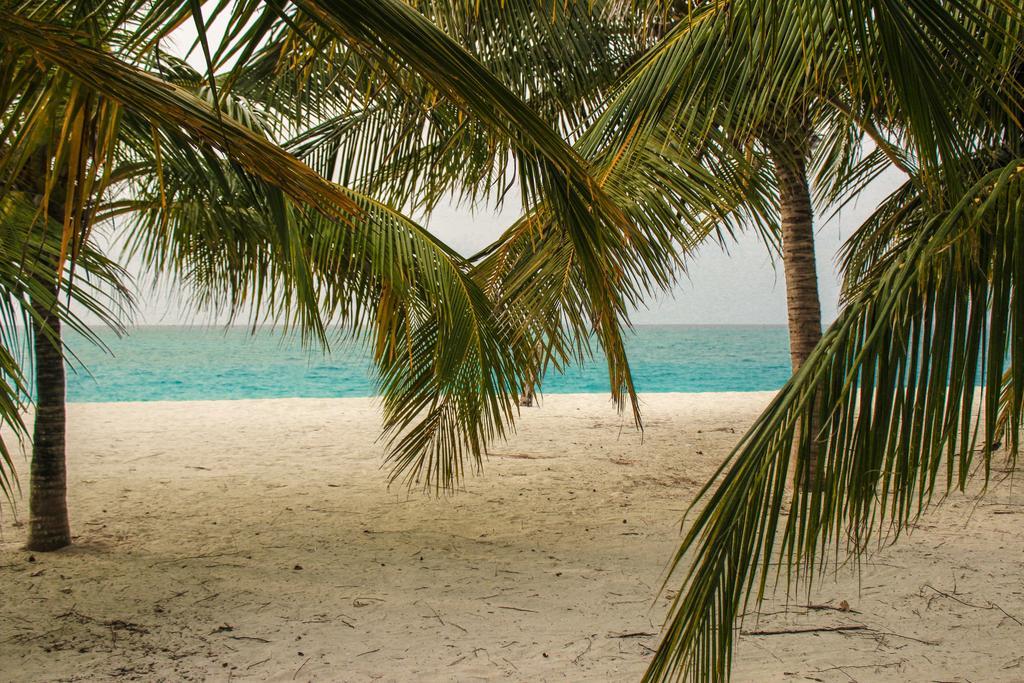 Cerulean View Residence Hanimaadhoo Island Екстериор снимка